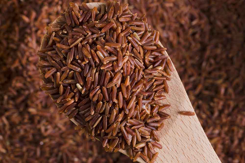 Brown Rice for Sugar Patients: A Safe Carbohydrate?