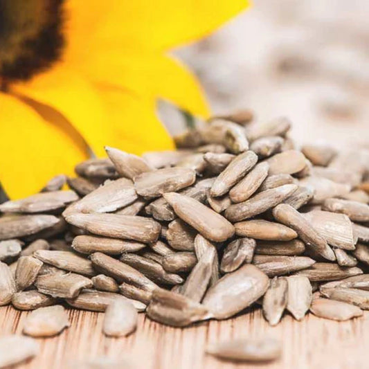 Sunflower seeds