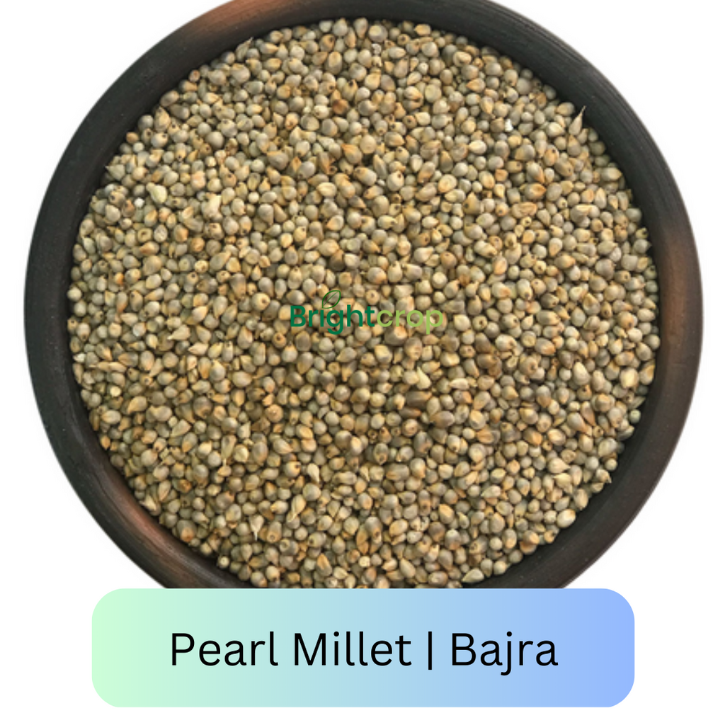 Bajra: 4 Health Benefits, Nutrition and Its Uses