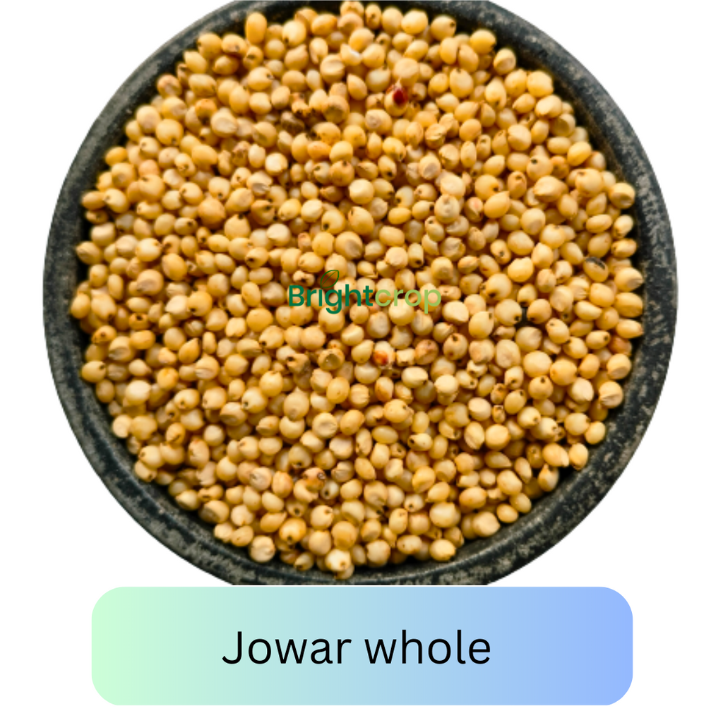 Jowar(Sorghum): Health Benefits and Easy Recipes