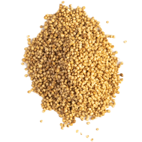 Kodo Millet : 4 Amazing Benefits, Nutrition And Easy Recipe