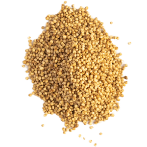 Kodo Millet : 4 Amazing Benefits, Nutrition And Easy Recipe