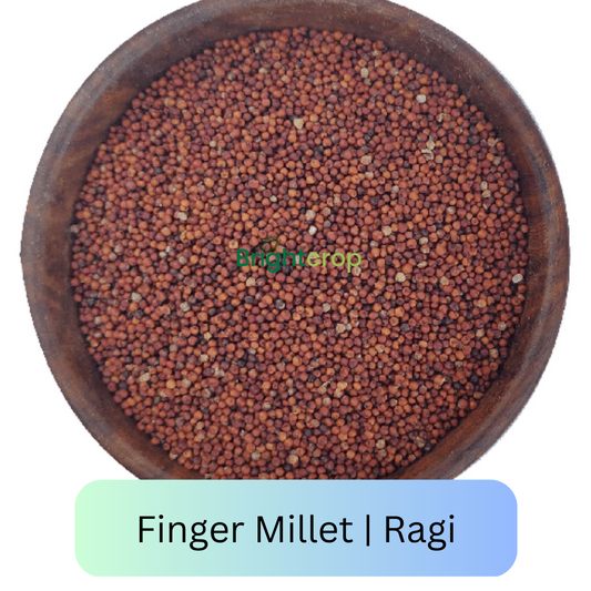 Ragi (Finger Millet)