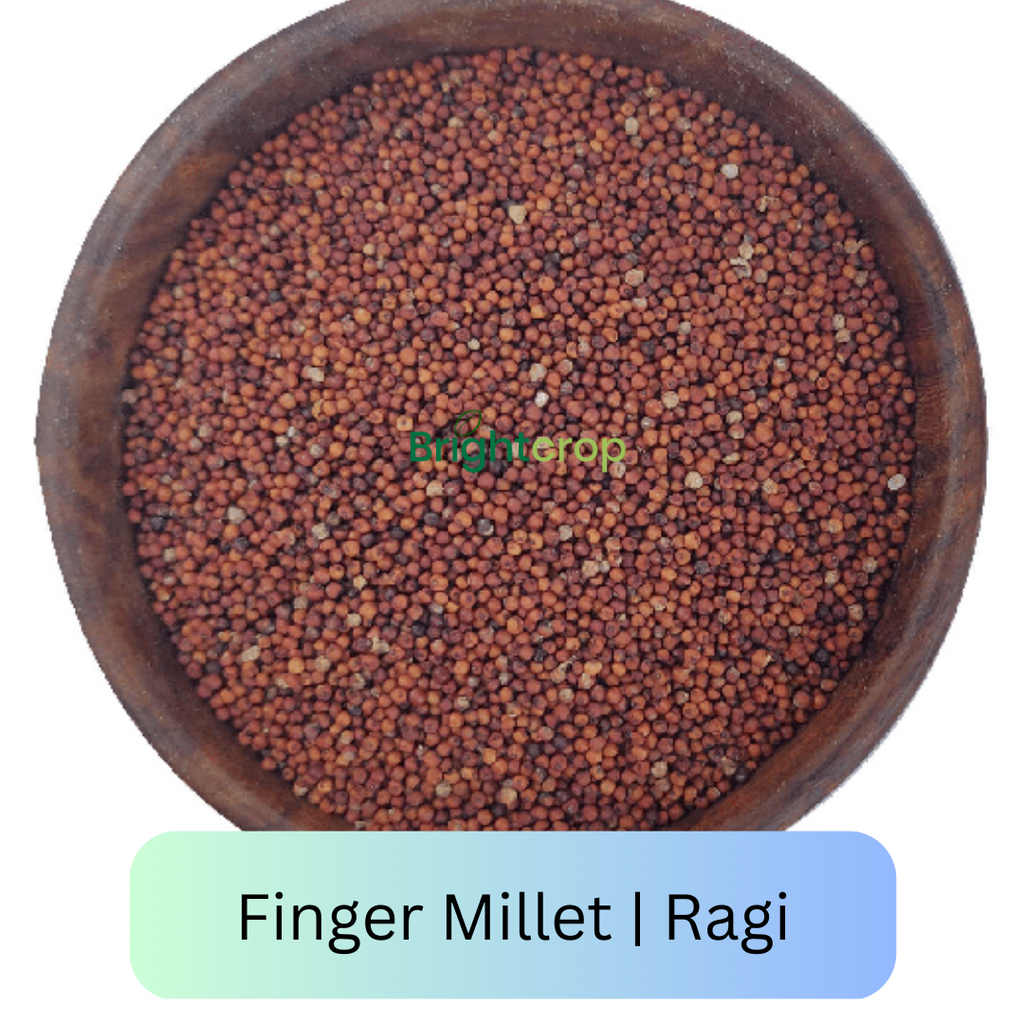 5 Easy Recipes and 9 Health Benefits of Ragi