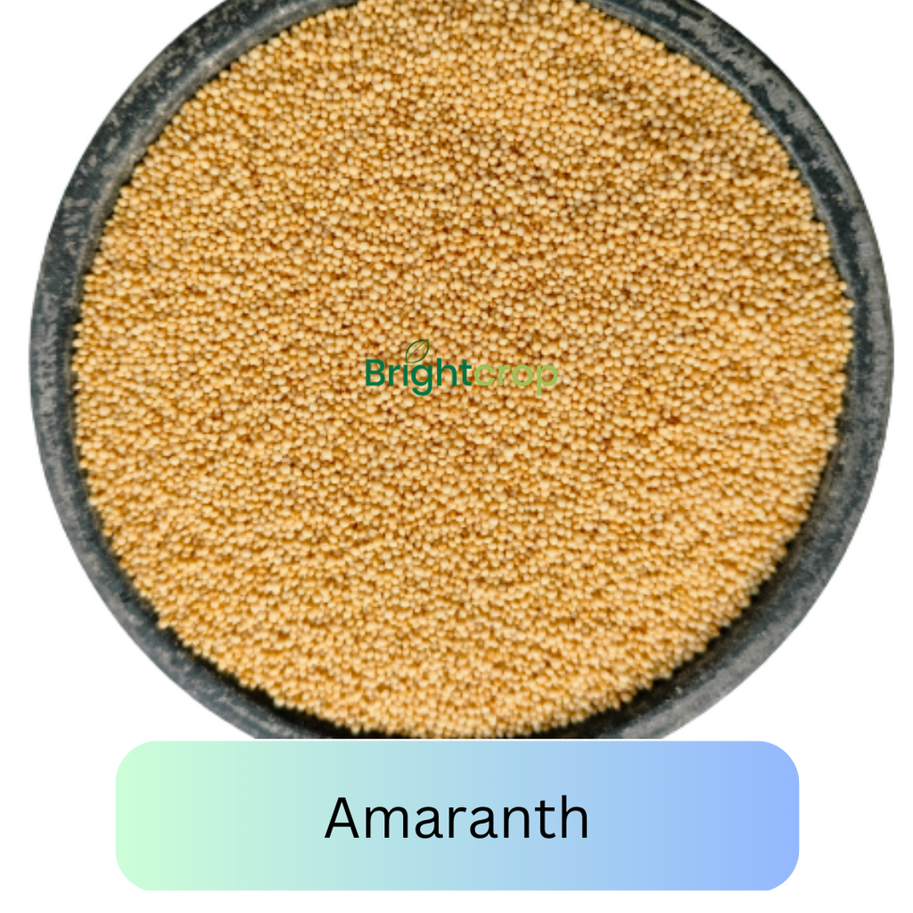 Health Benefits of Amaranth: Nutrition and Easy Recipes