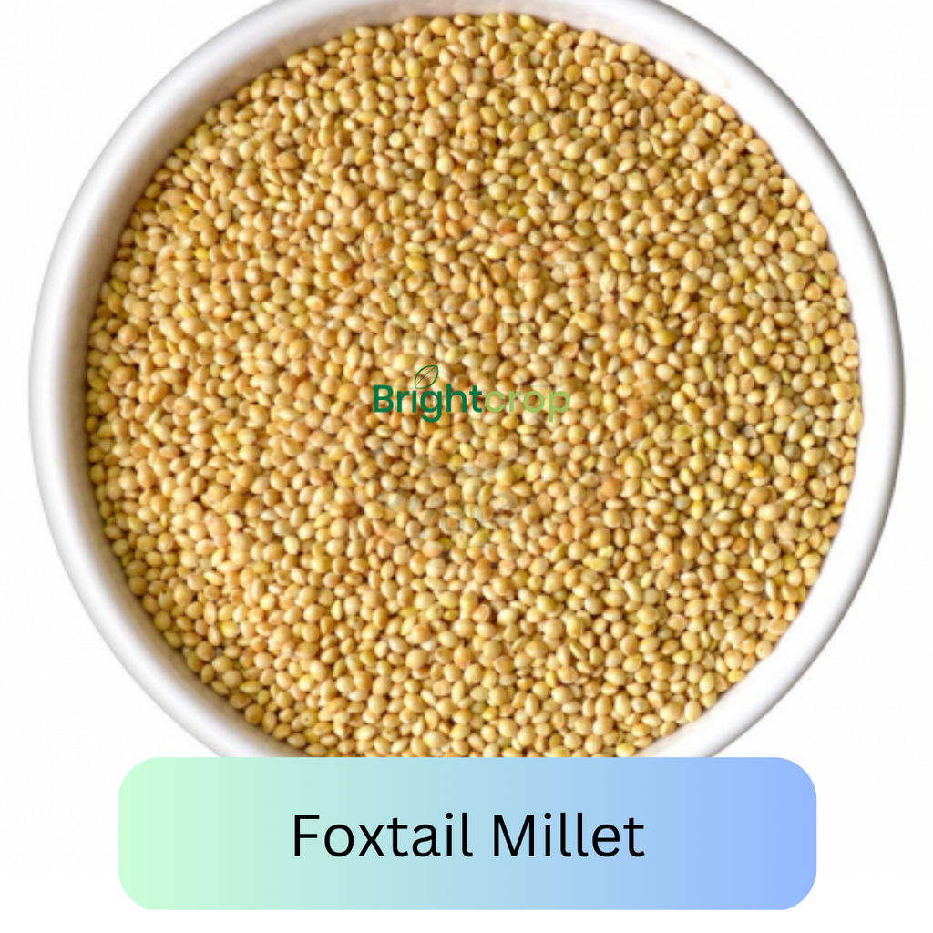 6 Amazing Benefits and Recipes of Foxtail Millets