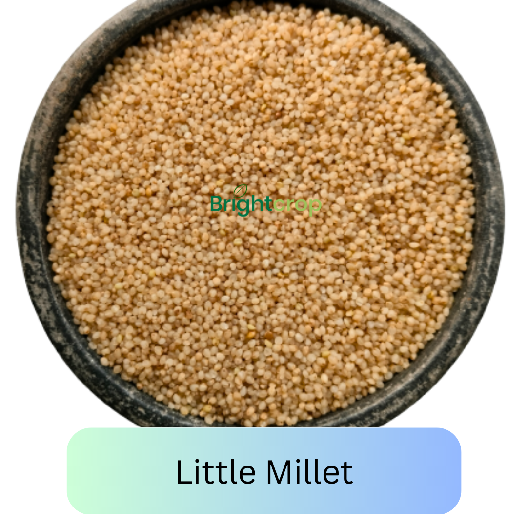 Easy and Tasty Little Millet Recipes – Brightcrop Agro