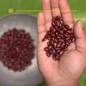 Buy certified organic pulses from Brightcrop Agro Products Private Limited