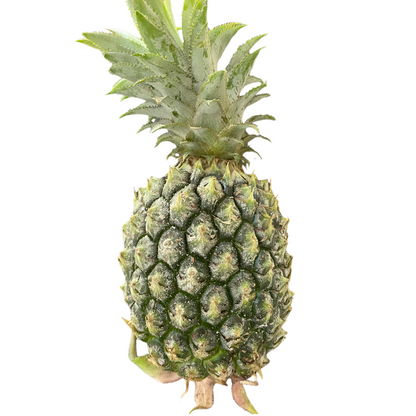 Fresh Pineapples