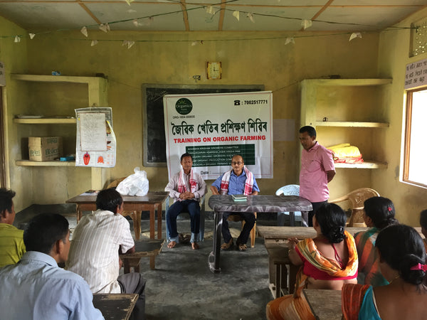 Training and development