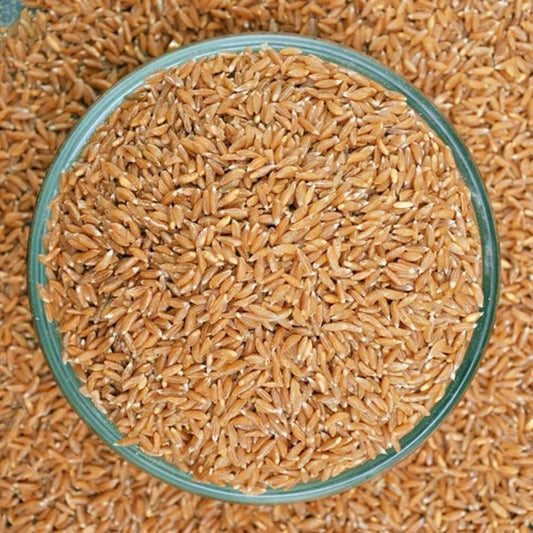 Emmer Wheat, Khapli ghehu (25KG Bag)