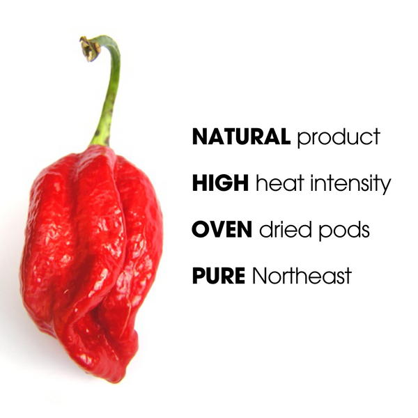 Bhut Jolokia Ghost Pepper Whole | King Chilli