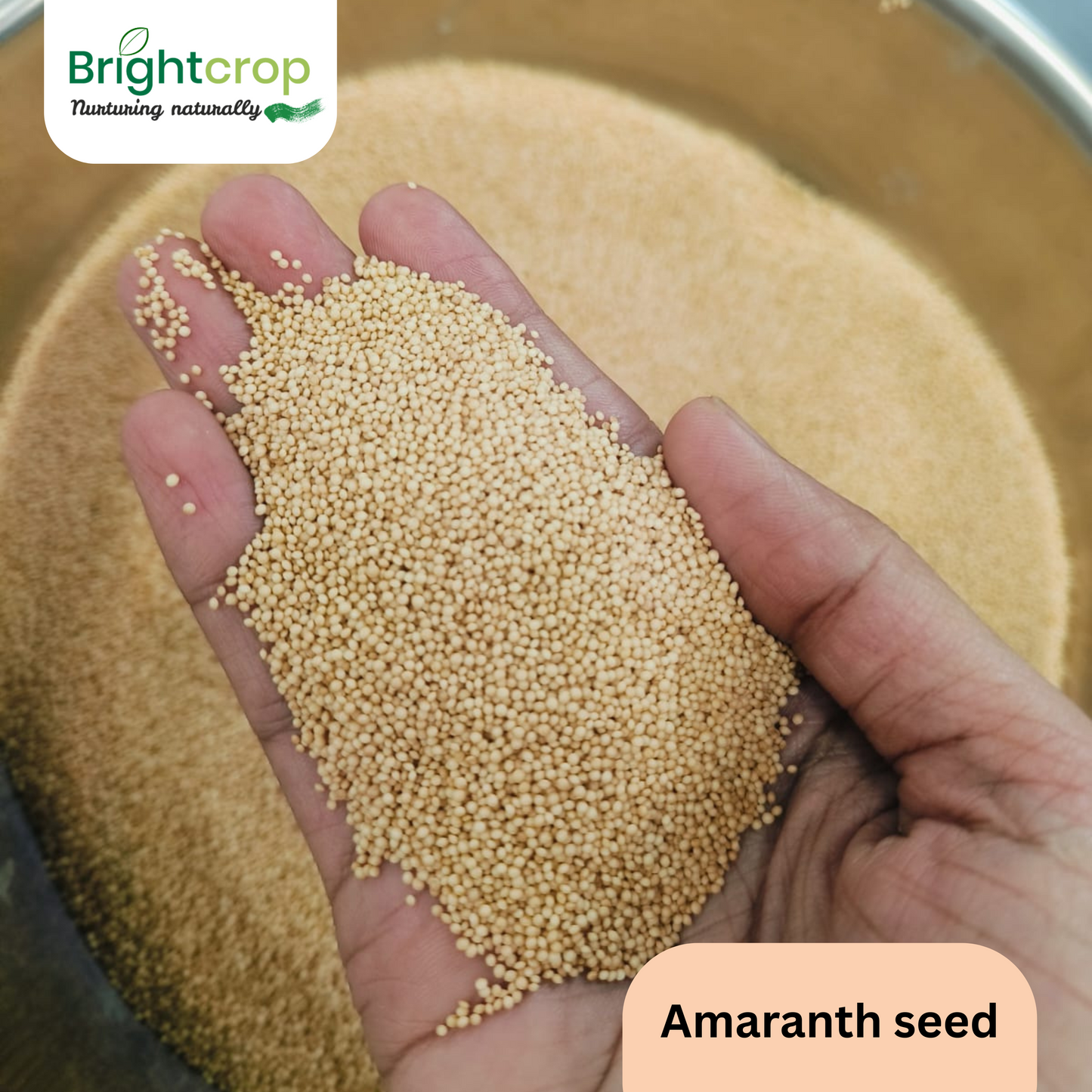 Amaranth, Rajgira (1 KG Pack)