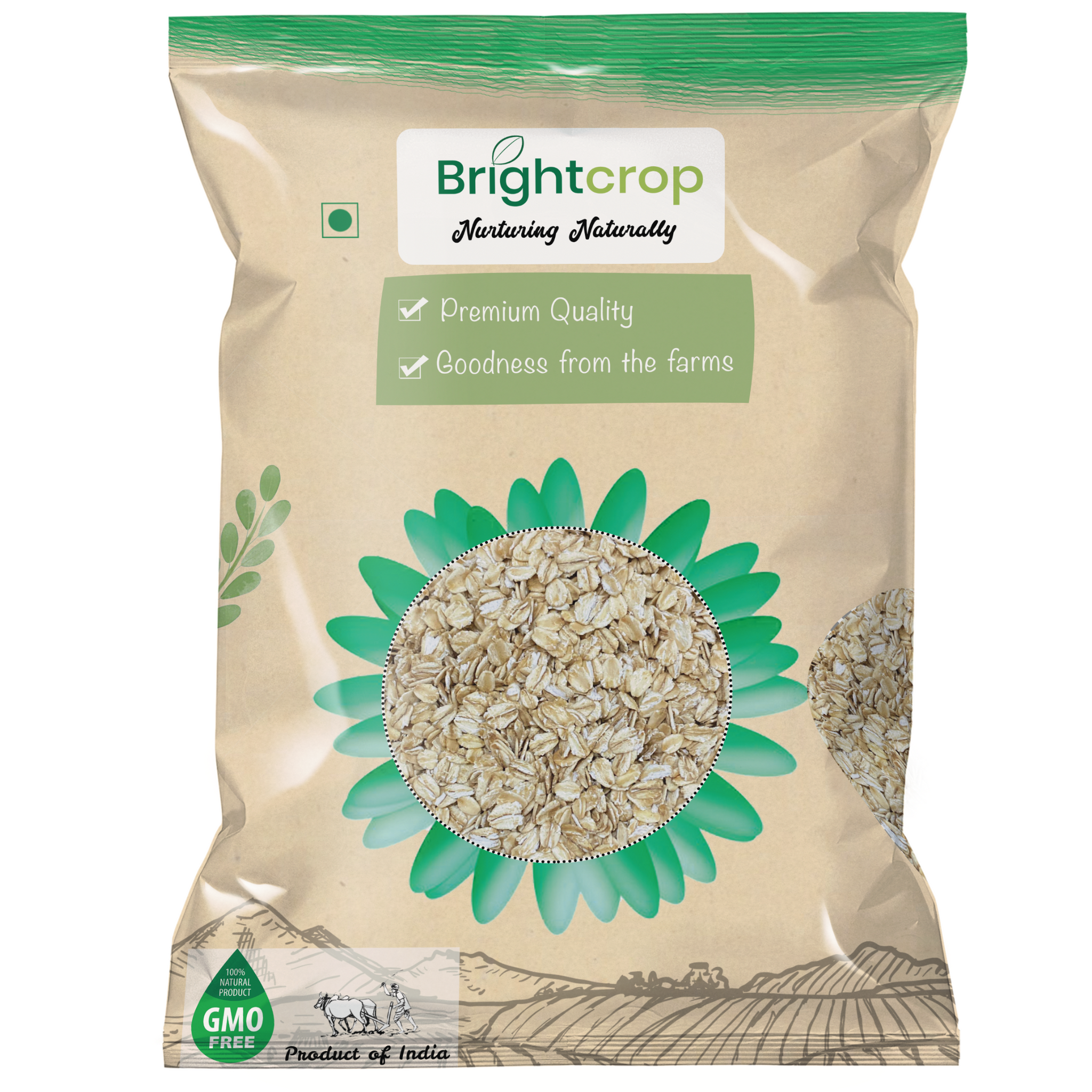 Rolled Oats (500GM Pack)