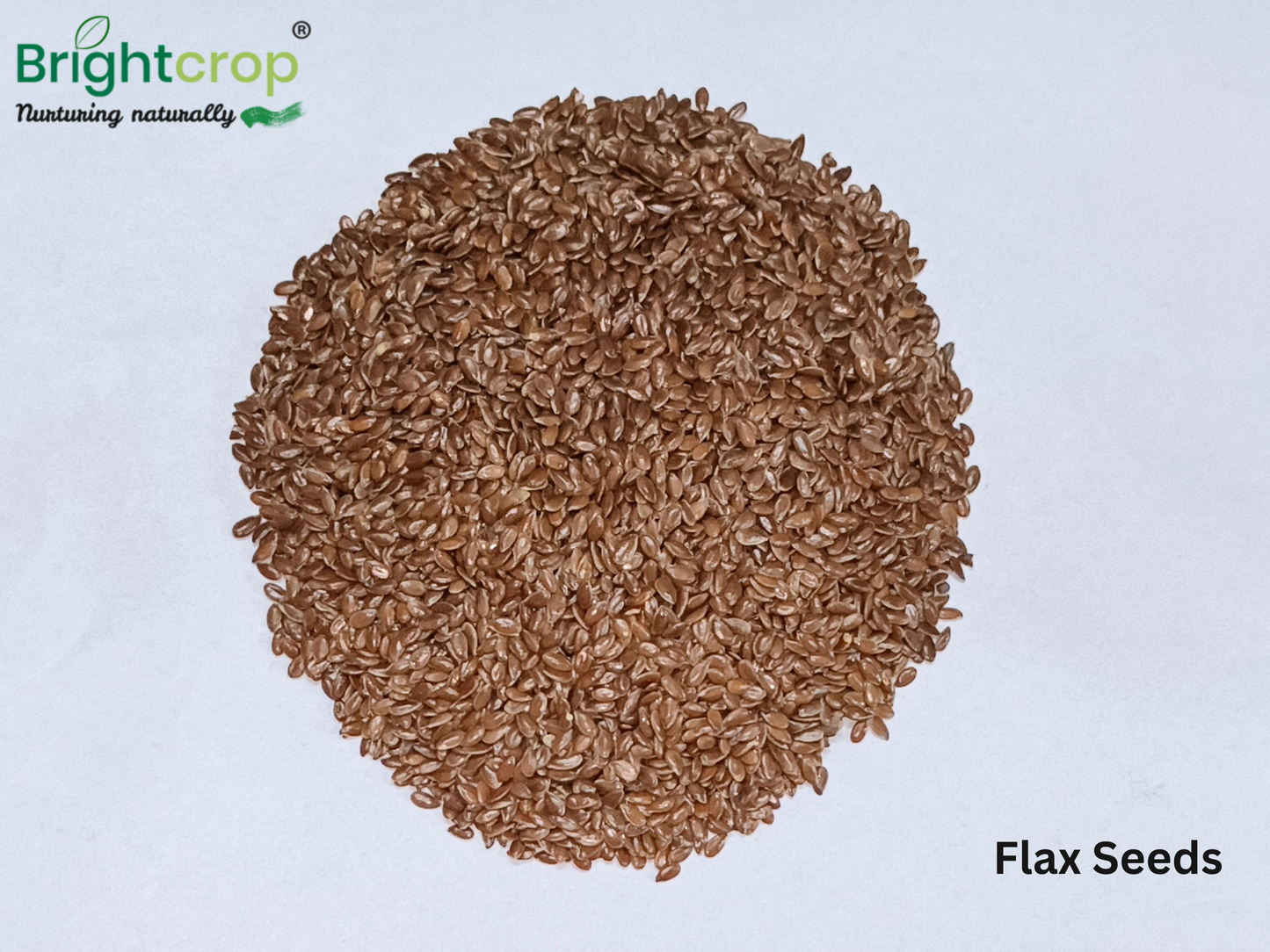 Flax Seeds