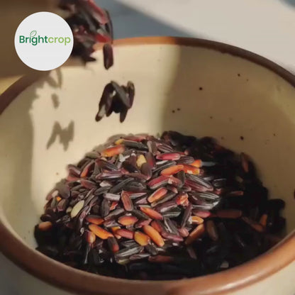 Black Rice | Chak hao (30KG Bag)