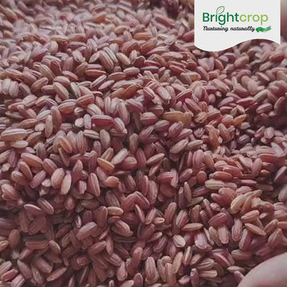 Red Rice, Himalayan