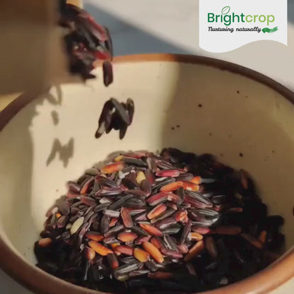 Black Rice, Chak hao, Manipuri