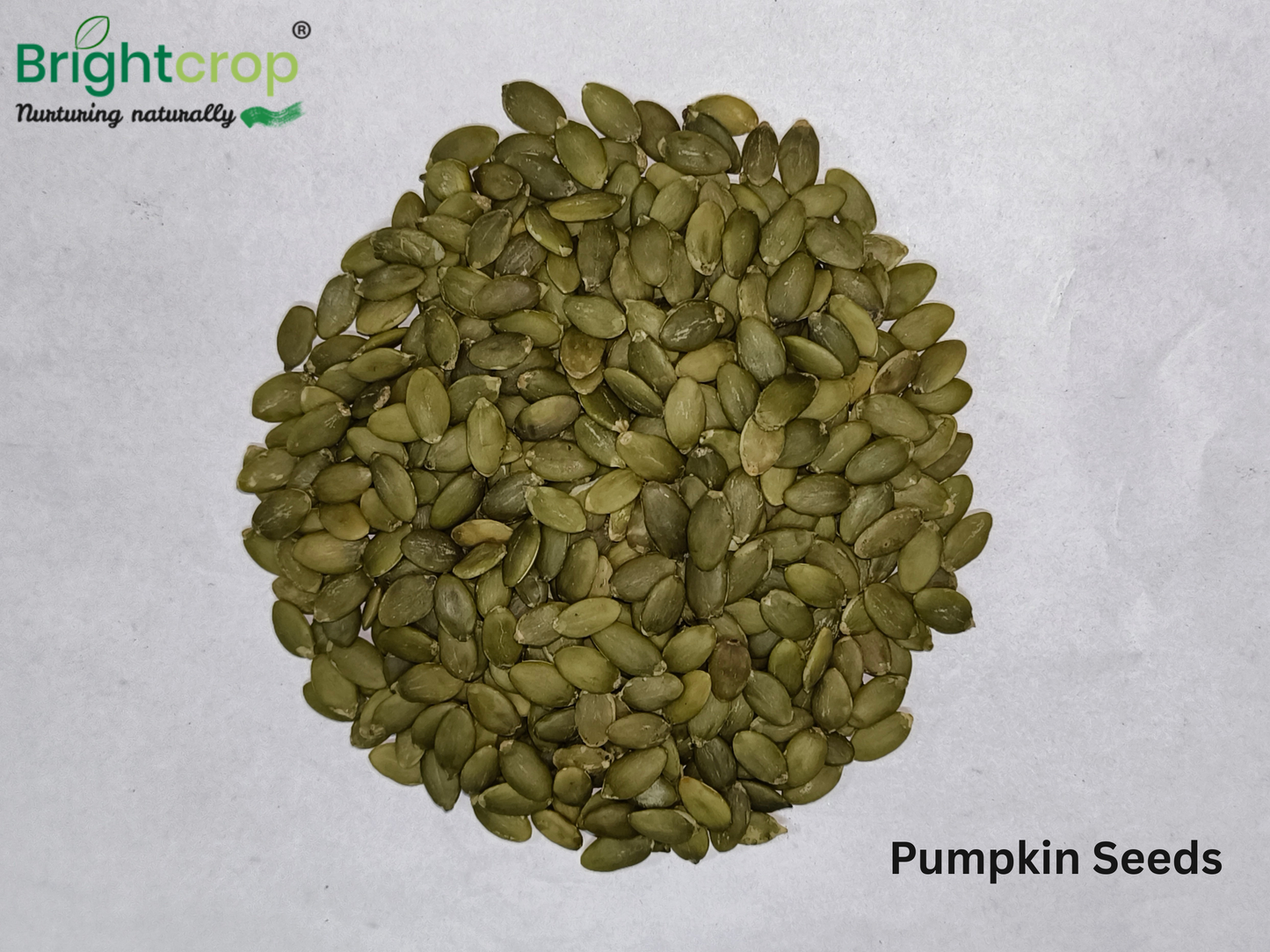 Pumpkin Seeds