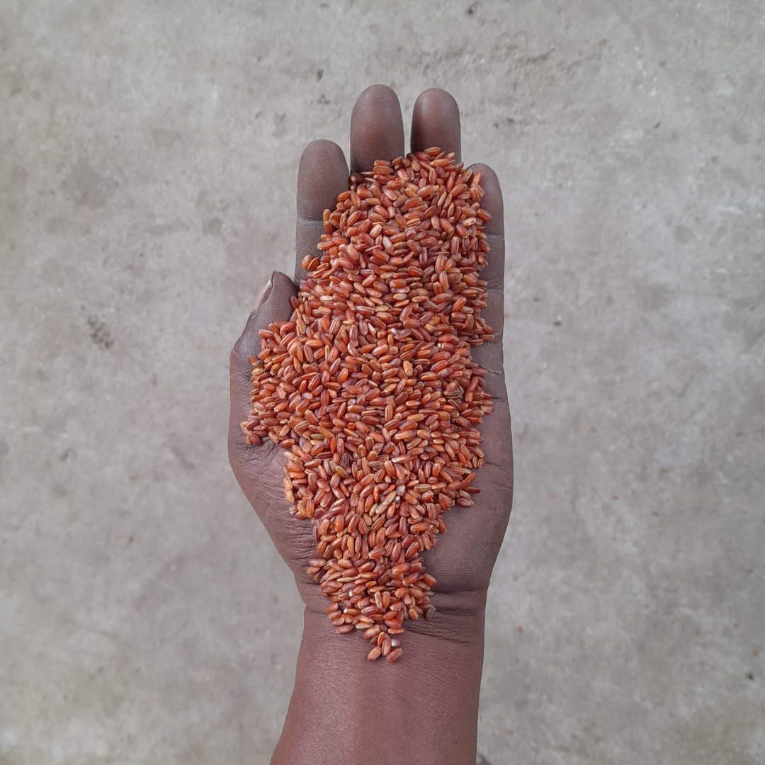 Red Rice | Himalayan (1KG Bag)