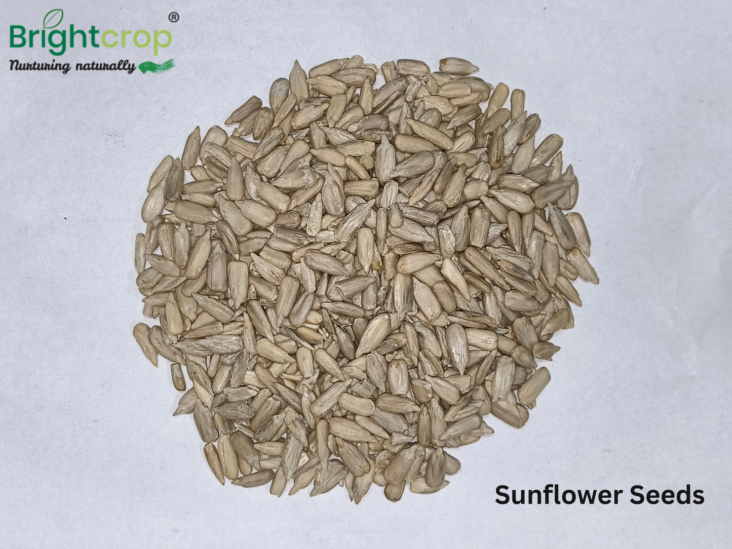 Sunflower Seeds