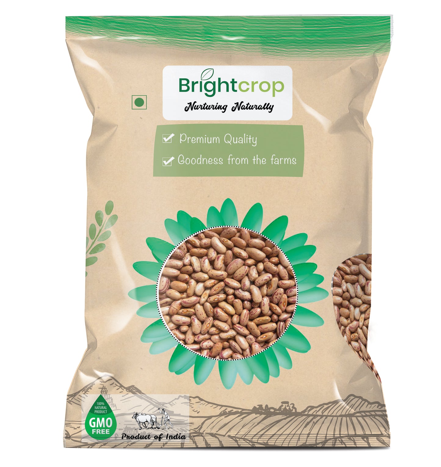 Rajma Chitra | Kidney beans (1kg Pack)