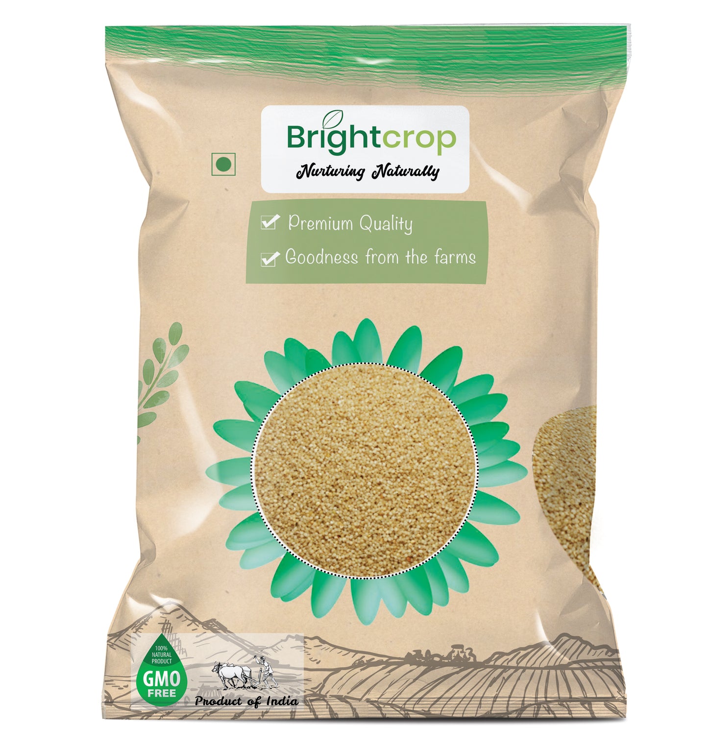 Little Millet (1KG Pack)