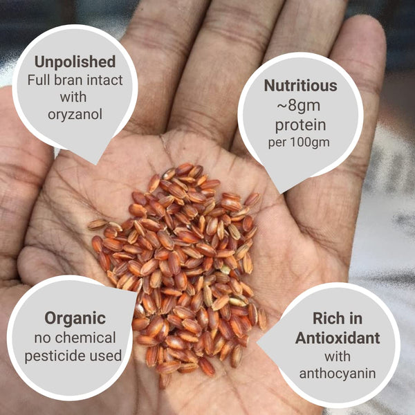 Organic Red Rice | Sathi | Raktashali | Rajamudi | Navara Rice (5 KG Pack)