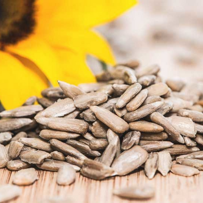 Sunflower Seeds (250 GMS Pack)