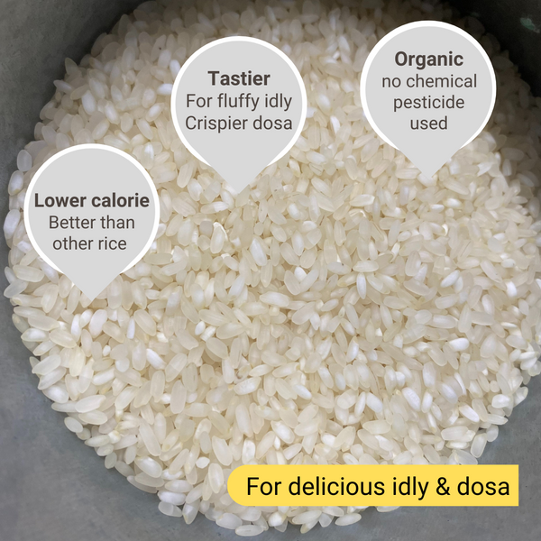Idly Rice - For soft idly and crispy dosa