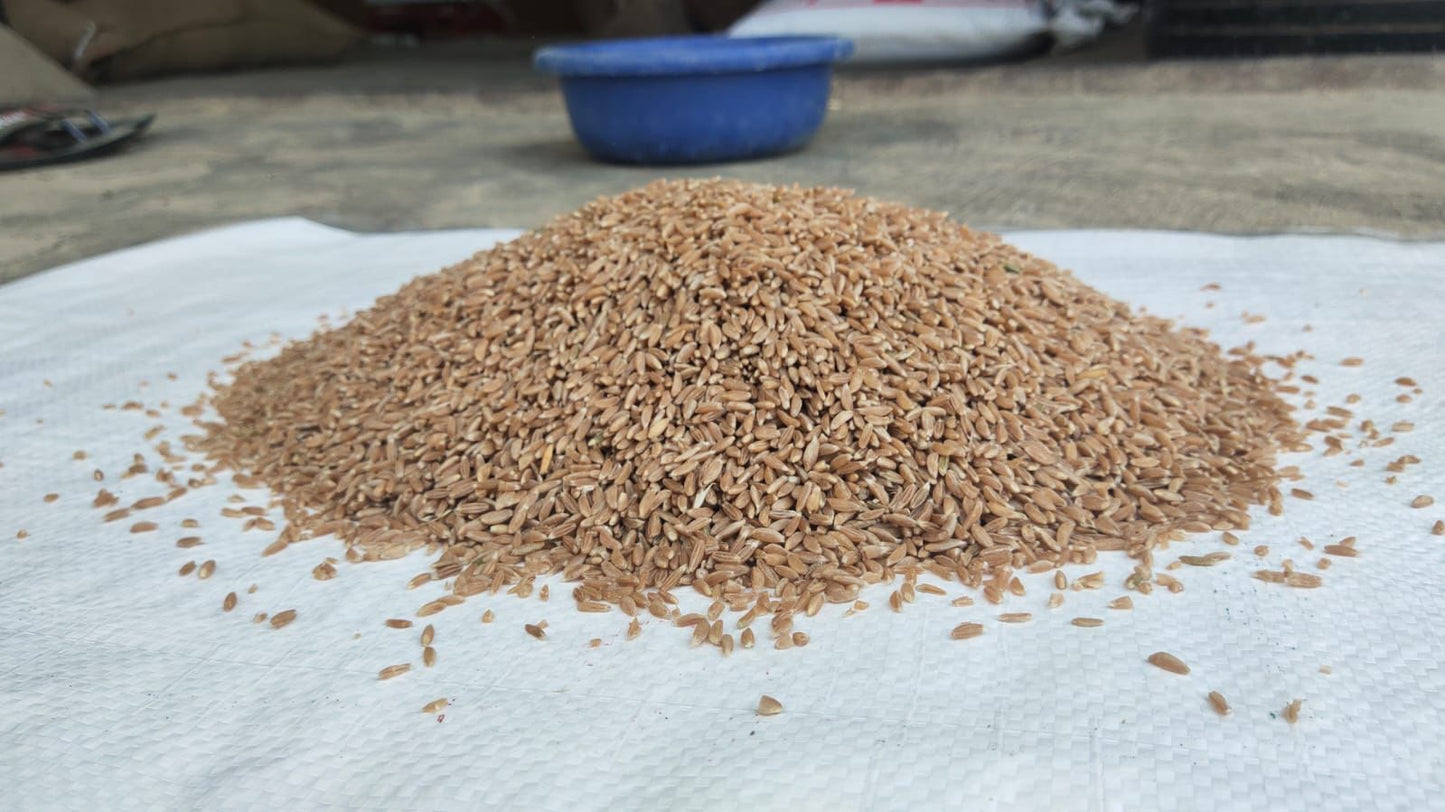 Emmer Wheat Flour - Chakki fresh Khapli Atta